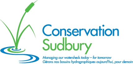 Watershed Conditions Statement – Water Safety